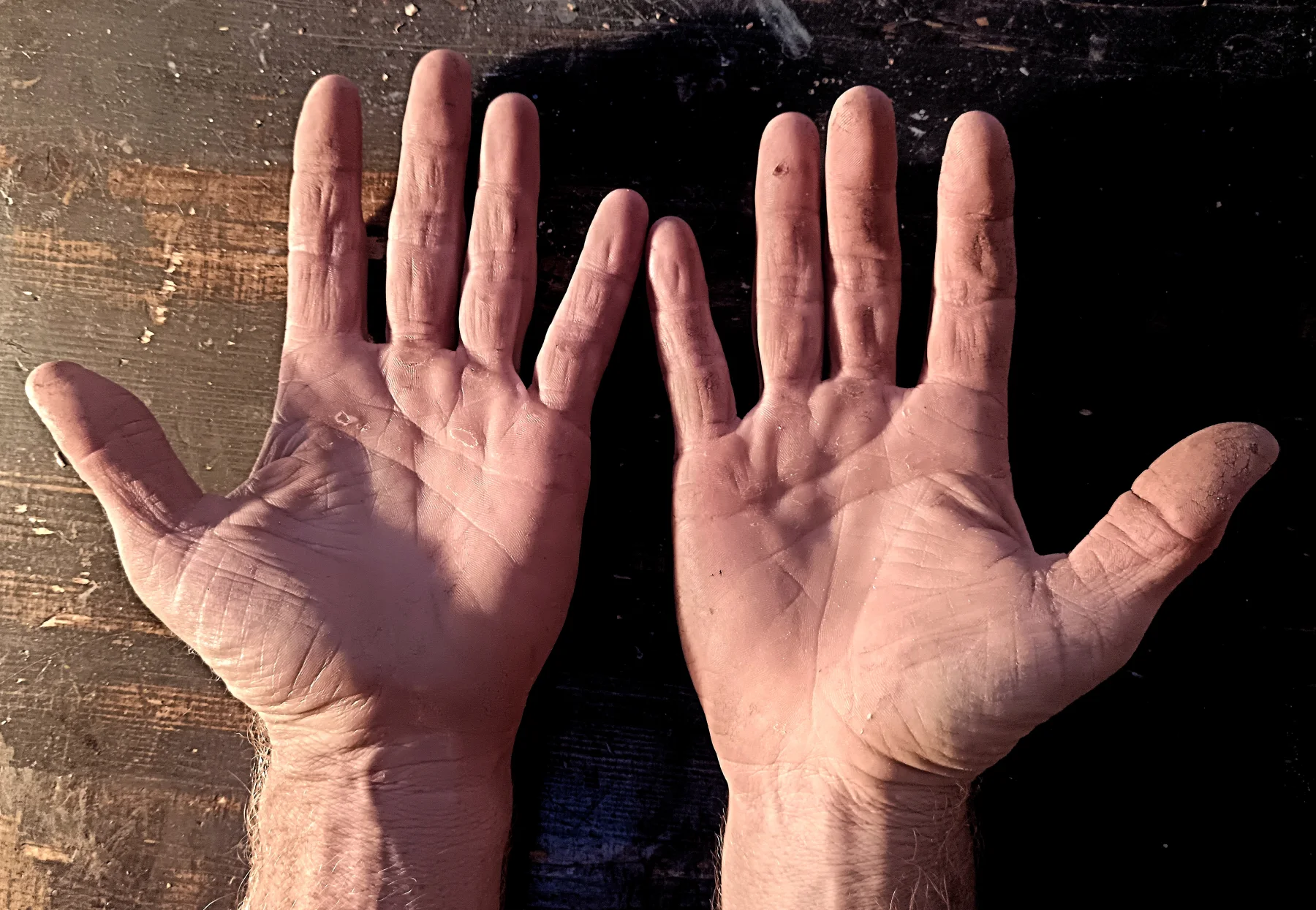 The artist's open hands on wood