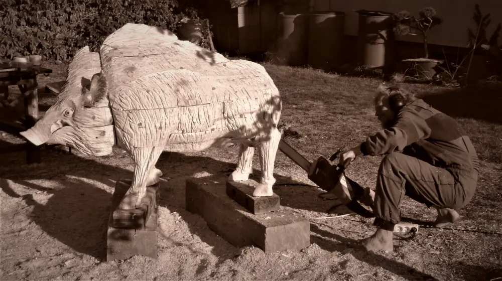 Boar